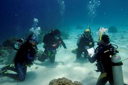 Bonaire Dive Holiday